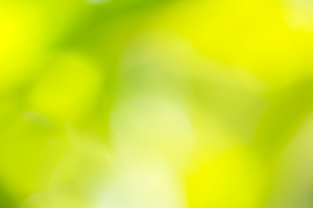 Natural green and yellow blurred background 