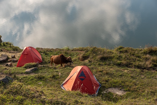 The natural lake on the meadow has many tents by the lake