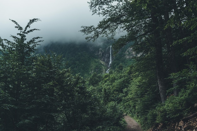 Natural landscape clouds cover the top of the mountain and forest