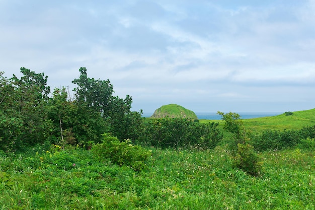 Natural landscape of Kunashir island with grassy hills volcanic rocks volcano in the clouds and ocean in the distance