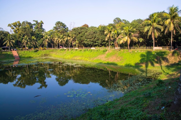 Natural landscape view Reflection of trees in the lake water against blue sky