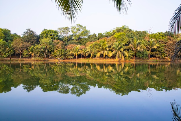 Natural landscape view Reflection of trees in the lake water against blue sky