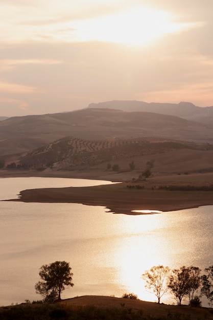 Natural landscape with trees and river