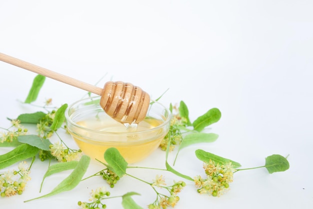 Natural linden honey with linden flowers on a white background