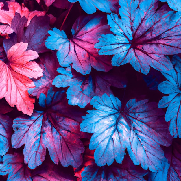 Natural macro texture of beautiful leaves toned in blue and purple-pink tones. flat lay