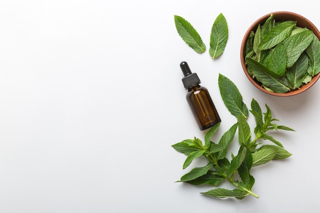 Natural Mint Essential Oil in a Glass Bottle organic cosmetics with herbal extracts of mint on colored background