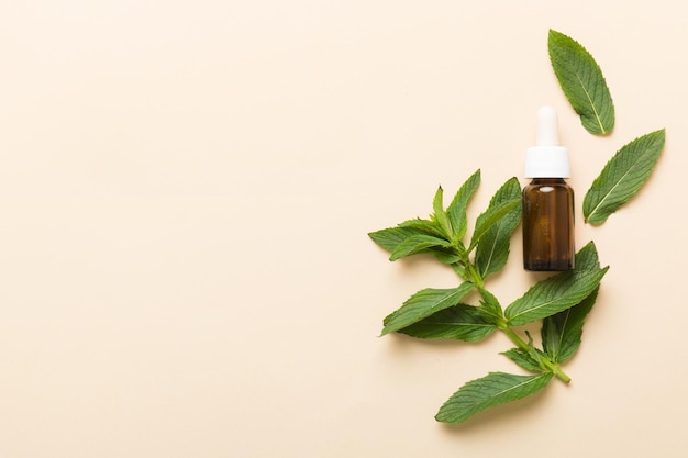 Natural Mint Essential Oil in a Glass Bottle organic cosmetics with herbal extracts of mint on colored background