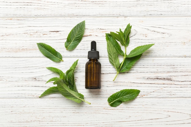 Natural Mint Essential Oil in a Glass Bottle organic cosmetics with herbal extracts of mint on colored background