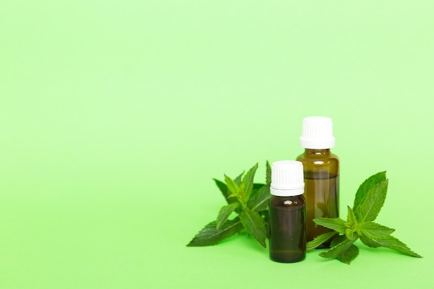 Natural Mint Essential Oil in a Glass Bottle organic cosmetics with herbal extracts of mint on colored background