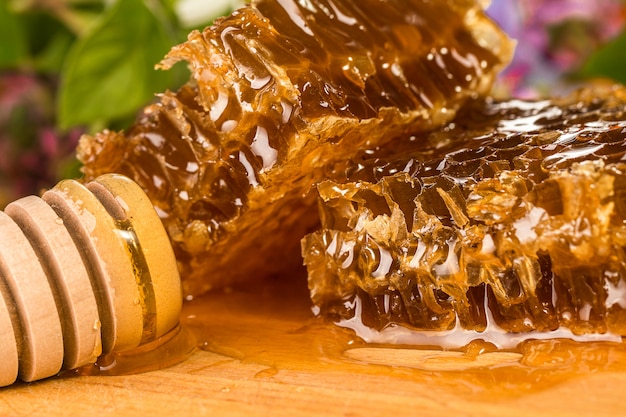 Natural organic honey  on a table, closeup