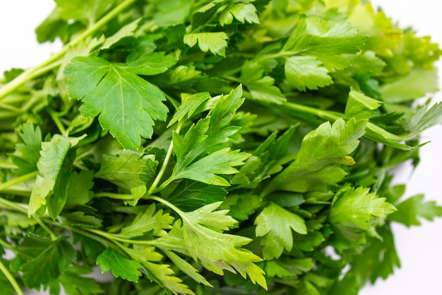 Natural parsley closeup on a white background Green spice fresh parsley