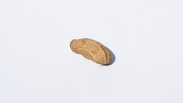 Natural Peanut Captured in Minimalist Style on a White Surface with Soft Shadows