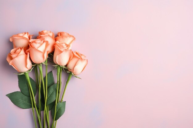 Natural pink roses with copy space