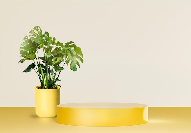 Natural plant in a yellow vase on the table with cosmetic or beauty product display podium