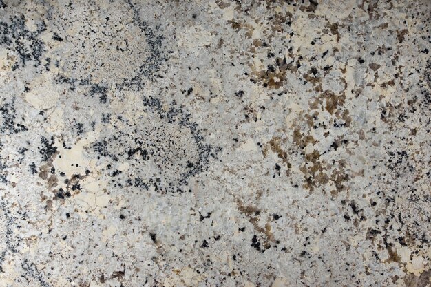 Natural polished gray granite with dark specks.