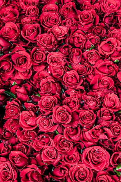 Natural red roses texture background