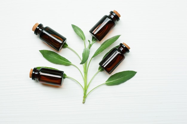 Natural sage essential oil with sage leaves on white  background