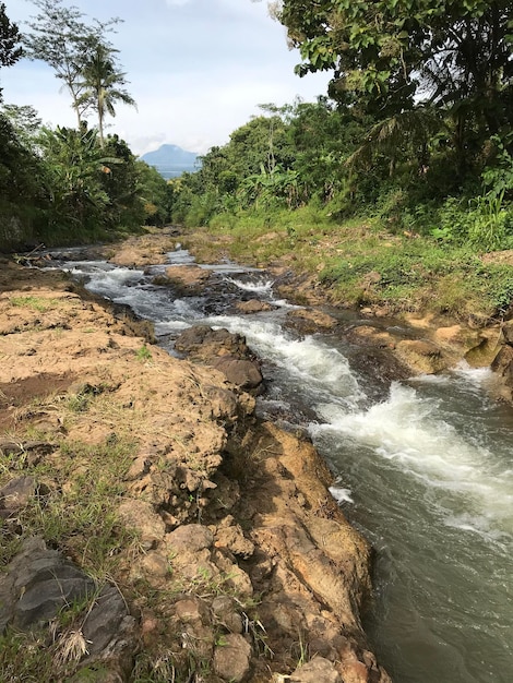 natural scenery river water with mountain rocks