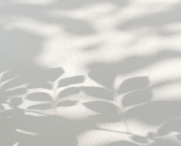 Natural shadow of leaves on a white wall