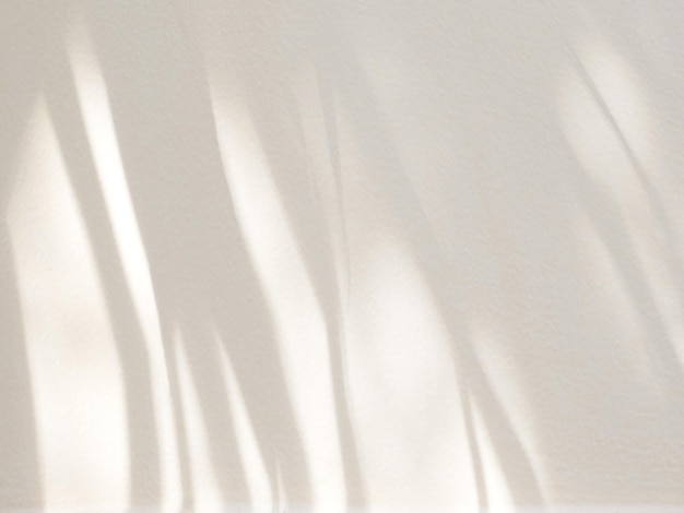 Natural shadow of palm leaves on a white wall