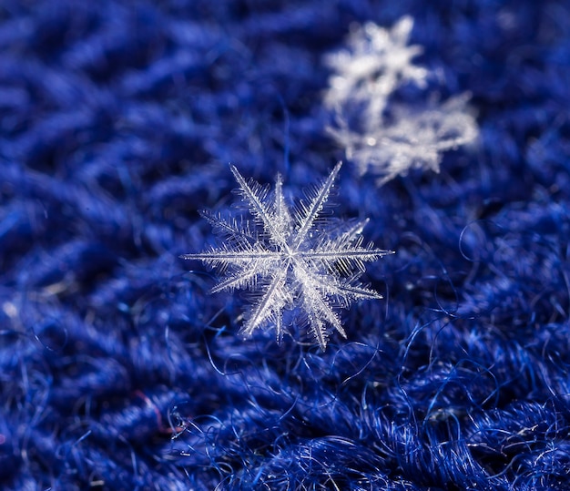 natural snowflakes on a knitted mitten