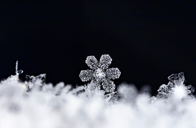 natural snowflakes on snow winter