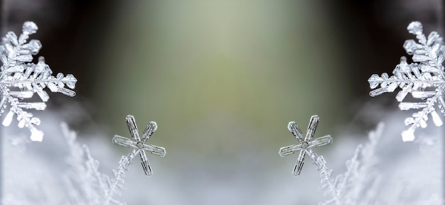 natural snowflakes on snow, winter