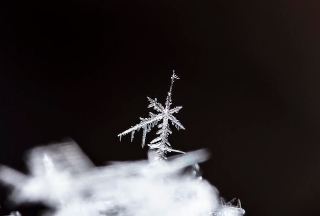 natural snowflakes on snow, winter