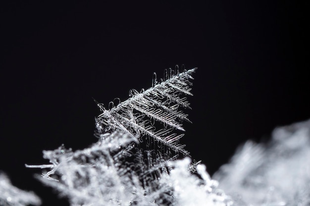 natural snowflakes on snow, winter