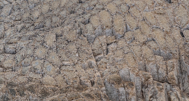 Natural stone background the bases of lava basalt columns form a kind of pavement