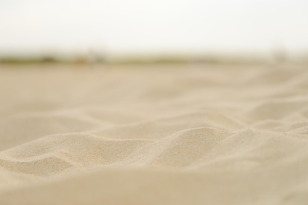 Natural texture with dune background, selective focusing