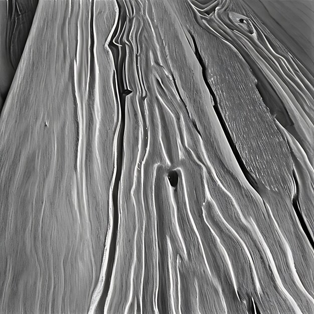 natural tree wood paper ai generated