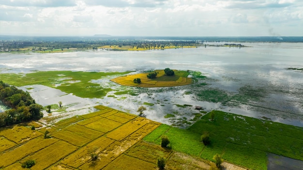 Natural water reservoir Water sustainability Landscape of green field and rice farm Freshwater