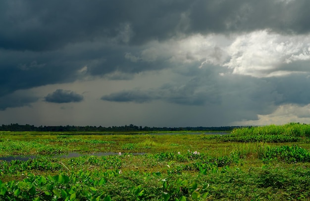 Natural water reservoir Water sustainability Landscape of green grass field and overcast sky Fresh