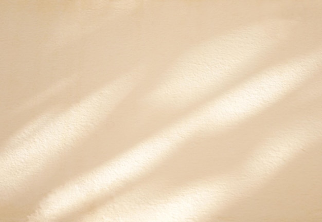 Natural window shadow on brown color wall background