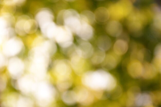 Natural yellow blured background of tree leaves