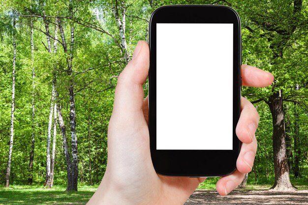 Naturalist photographs trees in forest clearing