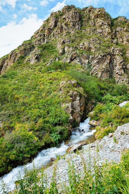 Nature of Altai mountains with Waterfall in Siberia in Russia