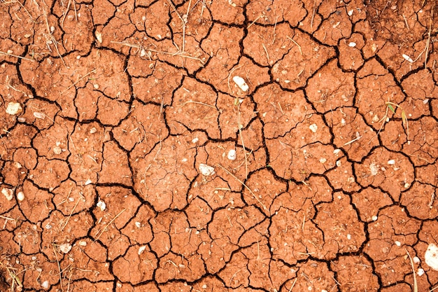 Nature background of cracked dry lands Natural texture of soil with cracks Broken clay surface of barren dryland wasteland closeup Full frame to terrain with arid climate Lifeless desert on earth