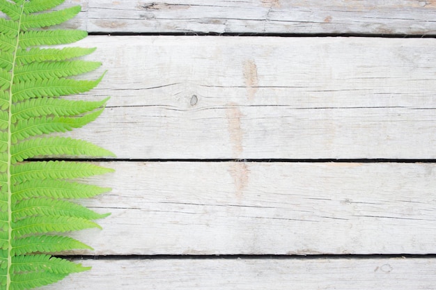 Nature concept on a wooden background Perfect natural fern pattern Beautiful background made with young green fern leaves