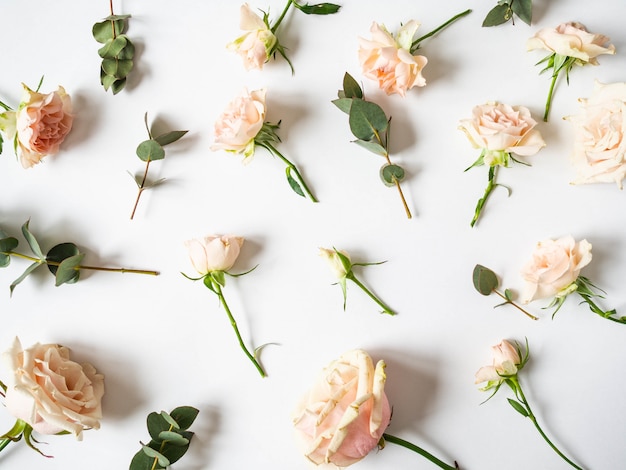 Nature creative composition of eucalyptus brunch and roses on a white