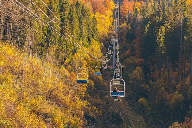 nature landscape of autumn forest and mountains