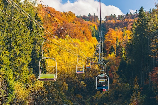 nature landscape of autumn forest and mountains