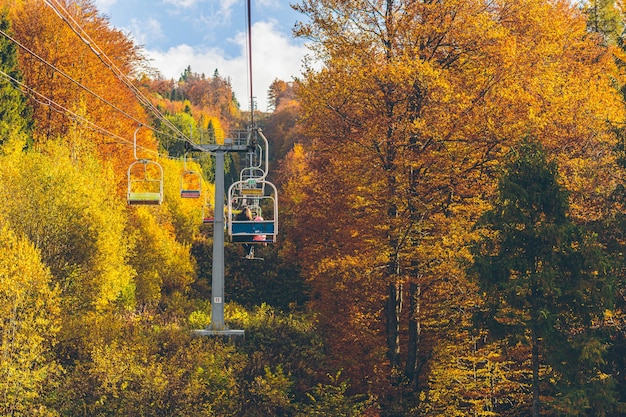 nature landscape of autumn forest and mountains