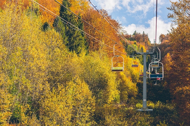 nature landscape of autumn forest and mountains