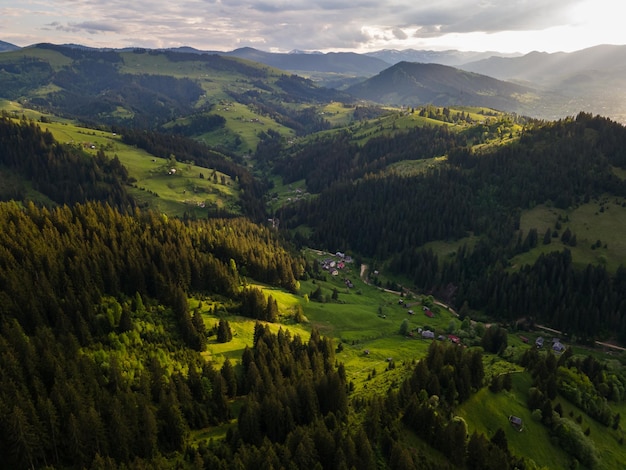 Nature landscape in carpathian mountains village  meadow spruces on hills beautiful cloudy sky