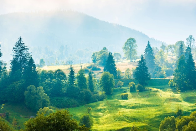 Nature landscape of green hills