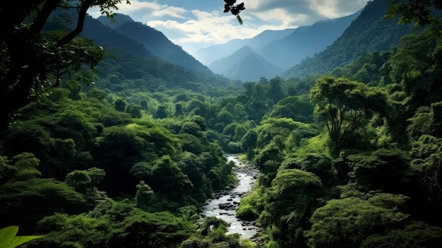 A Nature Lovers Paradise of Forests Mountains and Waterways