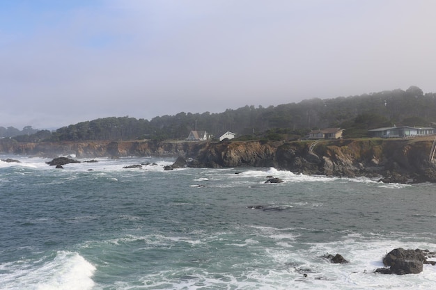 Nature in Mendocino parks in California