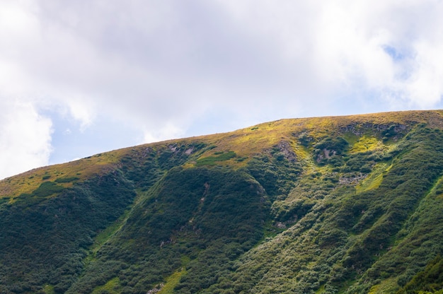 Nature mountain landscape on the background of the sky